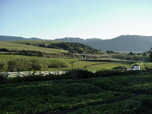 Point Reyes Vineyard Inn California City Esterno foto