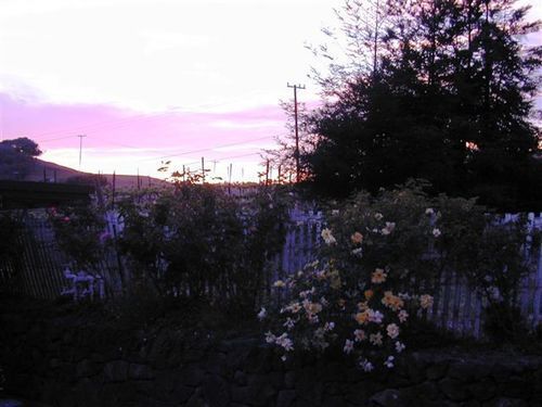 Point Reyes Vineyard Inn California City Esterno foto