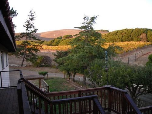 Point Reyes Vineyard Inn California City Esterno foto